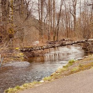 Meet your Posher, Carlo